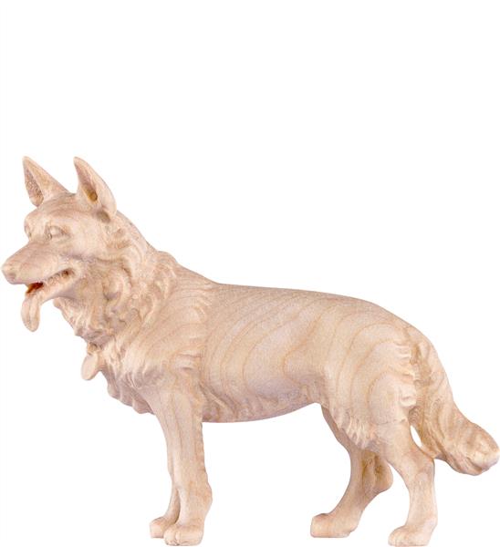 Schäferhund Schäferhund