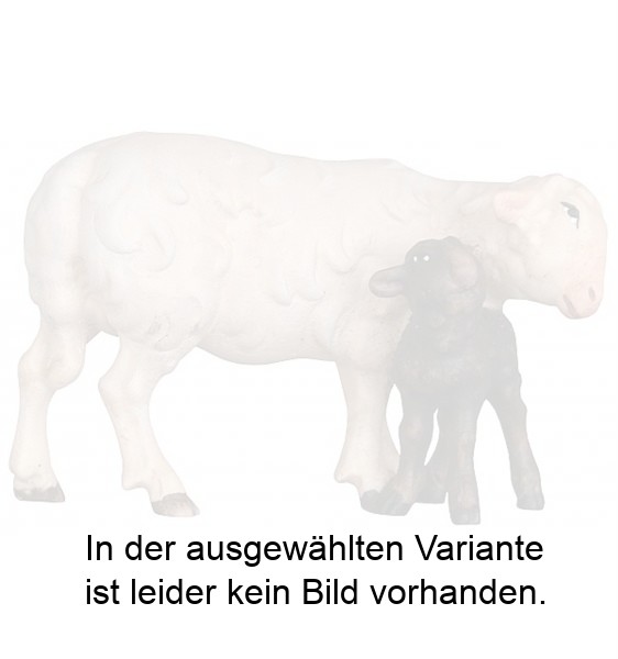 Schaf mit schwarzem Lamm Schaf mit schwarzem Lamm