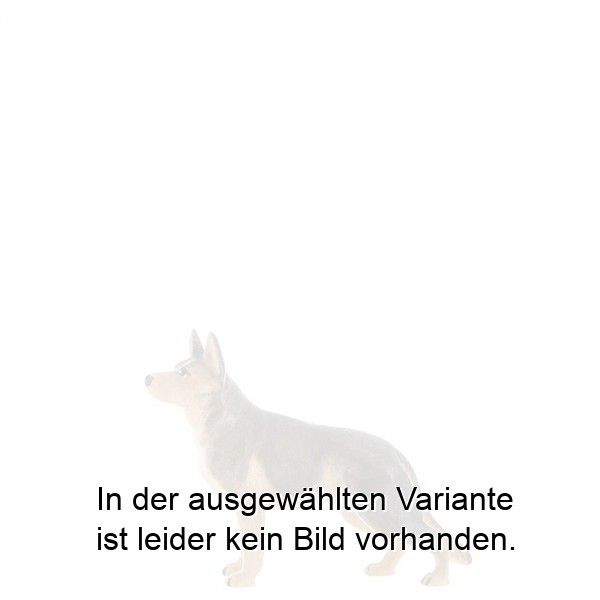 Schäferhund Schäferhund