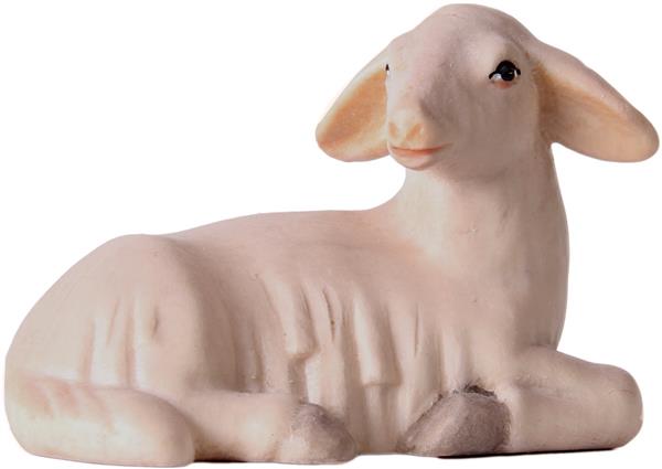 Schaf liegend Schaf liegend