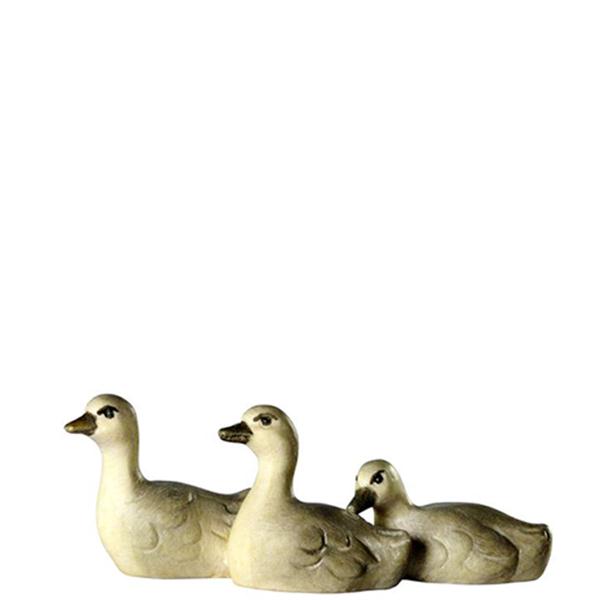 Schwanjungen 3-er Gruppe