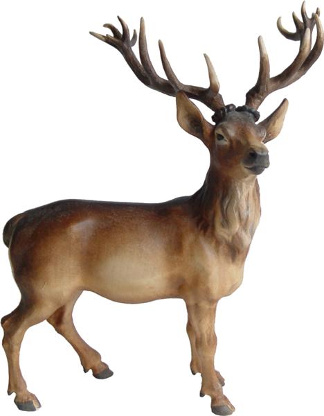 Hirsch Hirsch