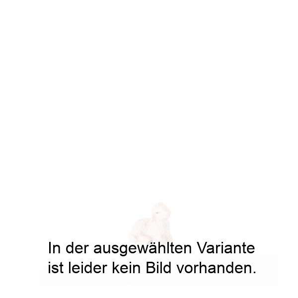 Lamm liegend