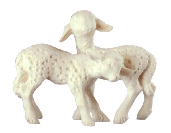 Lammgruppe Lammgruppe