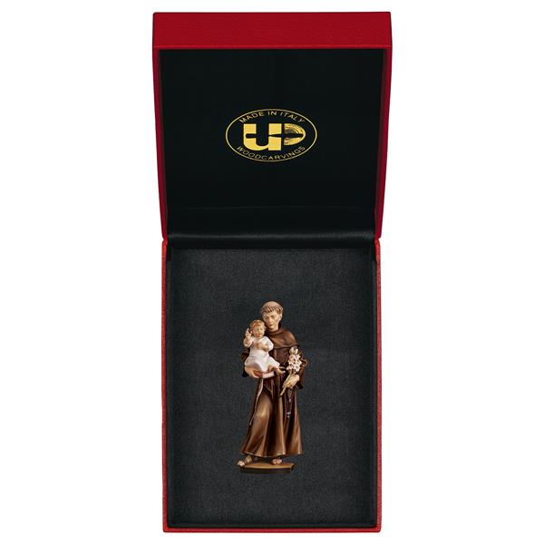 Hl. Antonius von Padua + Etui Exclusive