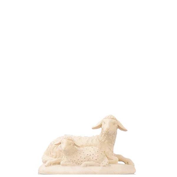 Schafpaar liegend Schafpaar liegend