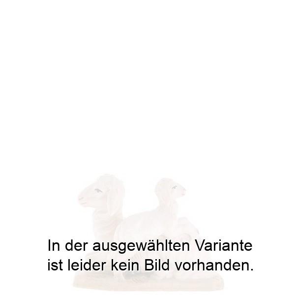 Schaf mit Lamm