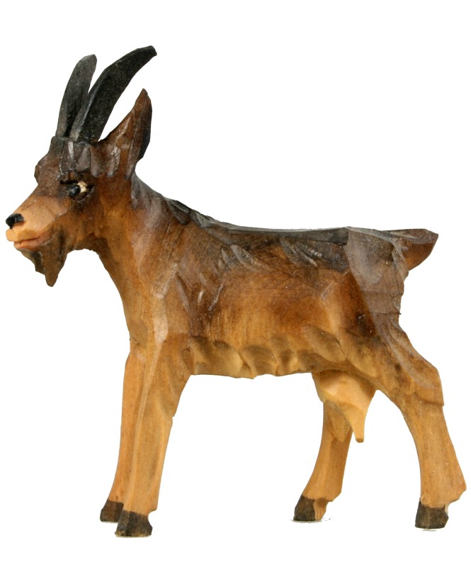 Ziege stehend