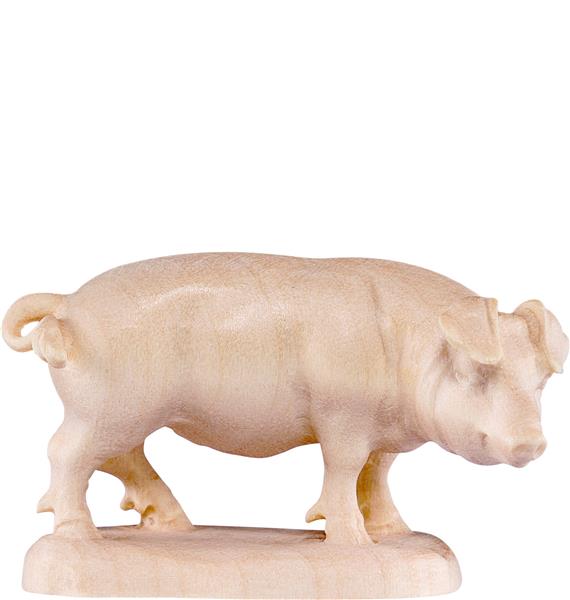 Schwein Schwein