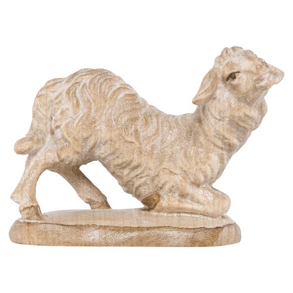 Schaf kniend Schaf kniend