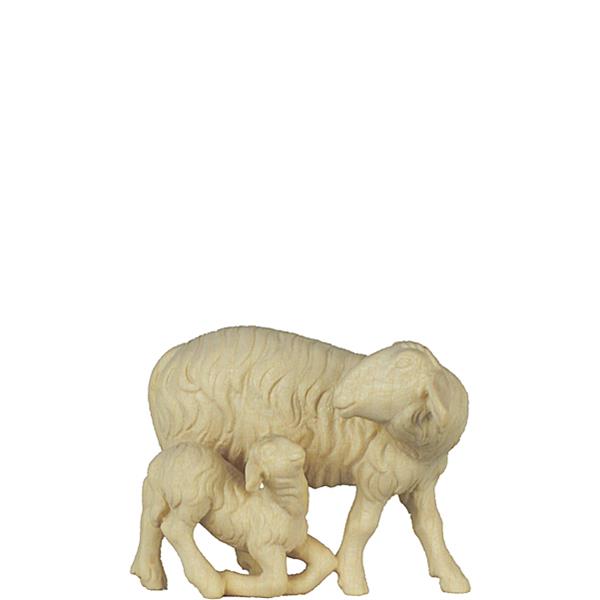 Schaf mit Lamm kniend