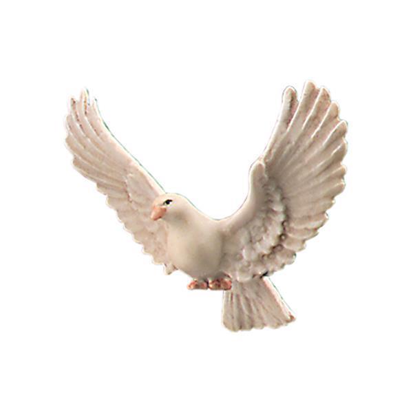 Taube mit Schwanz nach unten Taube mit Schwanz nach unten