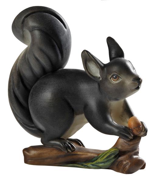 Eichhörnchen auf Ast grau Eichhörnchen auf Ast grau