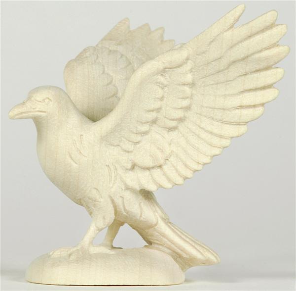 Rabe Flügel offen Rabe Flügel offen