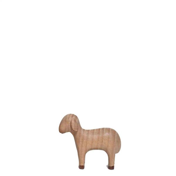 Schaf stehend Schaf stehend