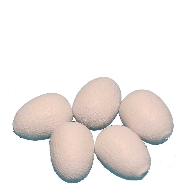 Eier - 5 Stück