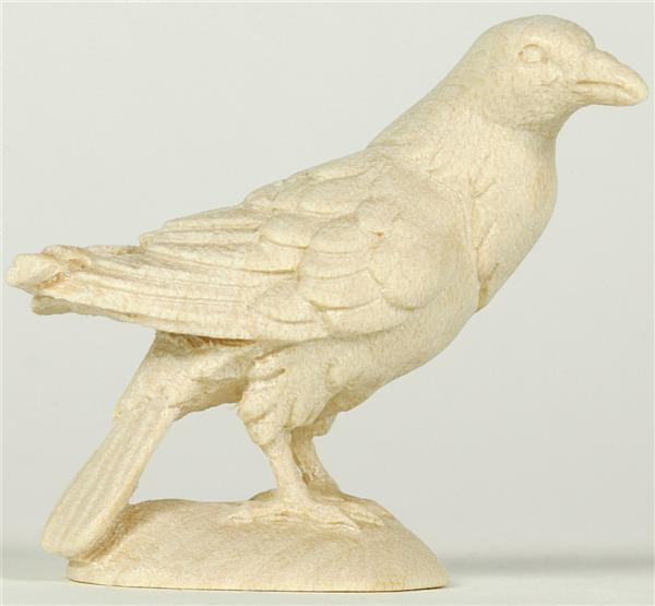 Specht sitzend Specht sitzend