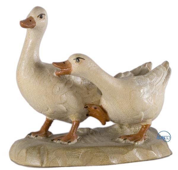 Gänsegruppe Gänsegruppe