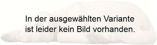 Schaf modern liegend
