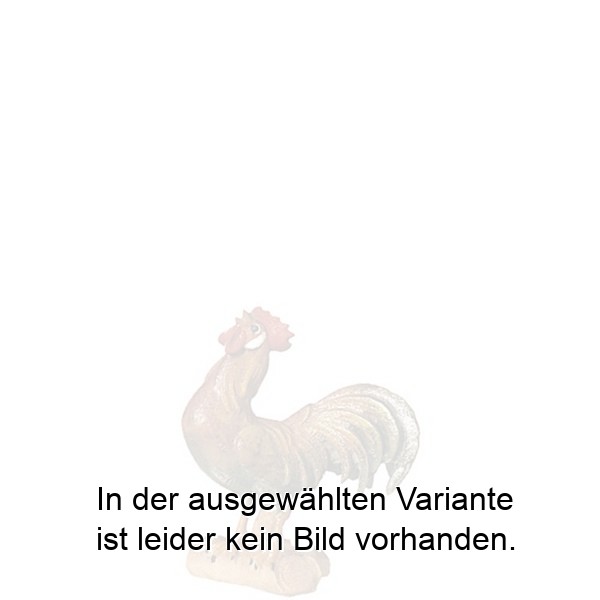 Hahn auf Ast