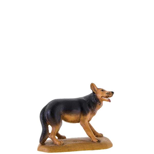 Schäferhund Schäferhund