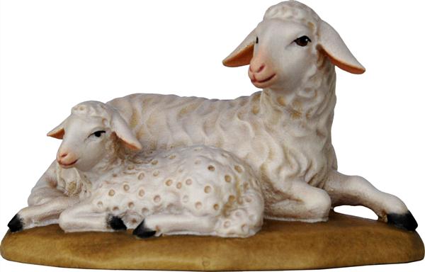 Schafpaar liegend Schafpaar liegend