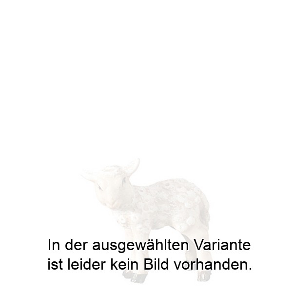 Lamm stehend Lamm stehend