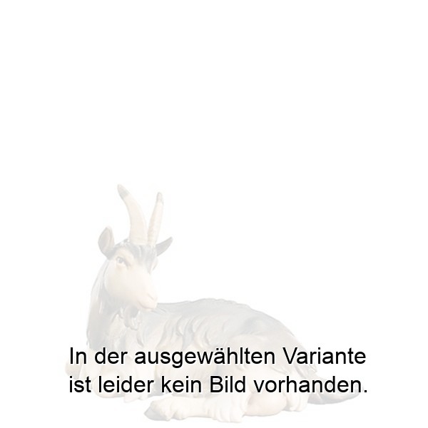 Ziege liegend