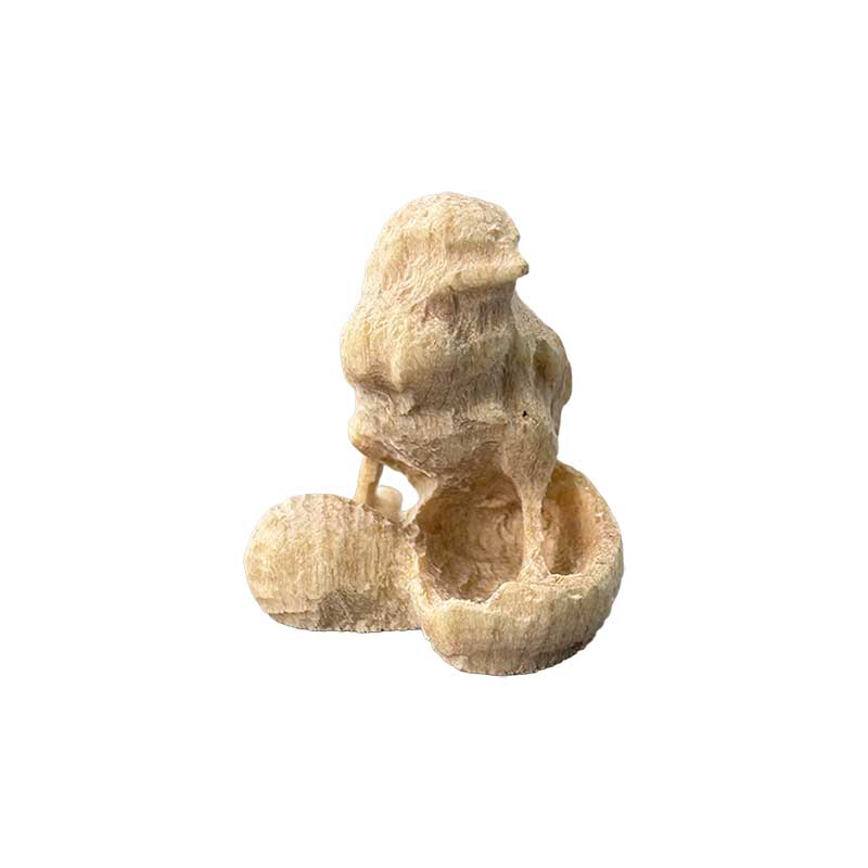 Küken in Eierschale
