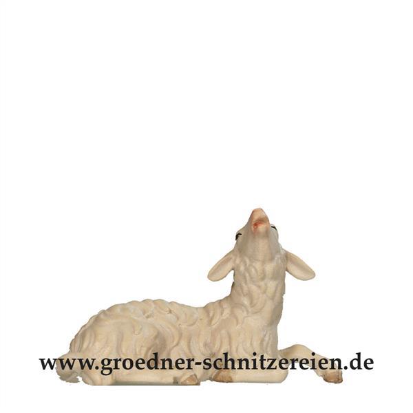 Schaf liegend und blökend Schaf liegend und blökend