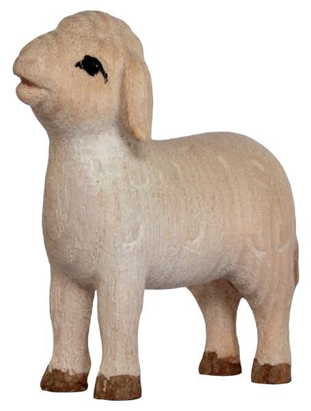 Lamm stehend