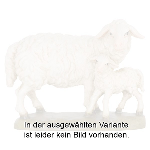 Schaf stehend mit Lamm Schaf stehend mit Lamm