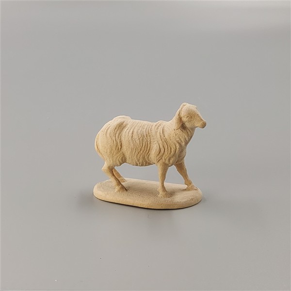 Schaf stehend Schaf stehend