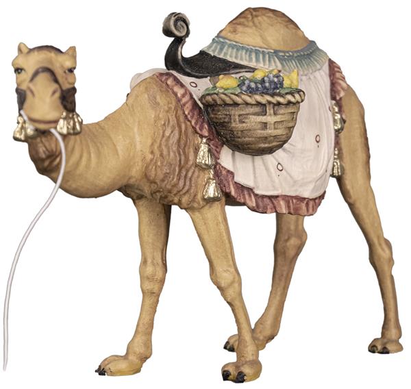 Kamel