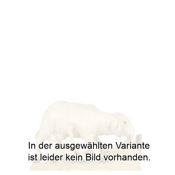 Schaf-Lamm stehend Schaf-Lamm stehend