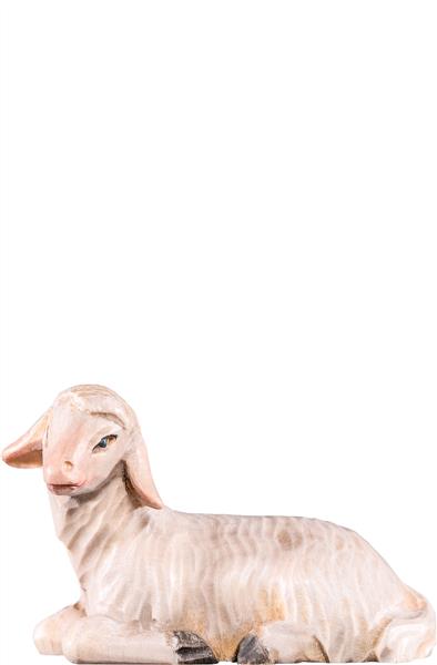 Schaf liegend Schaf liegend