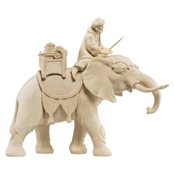 Elefant mit Reiter und Gepäck