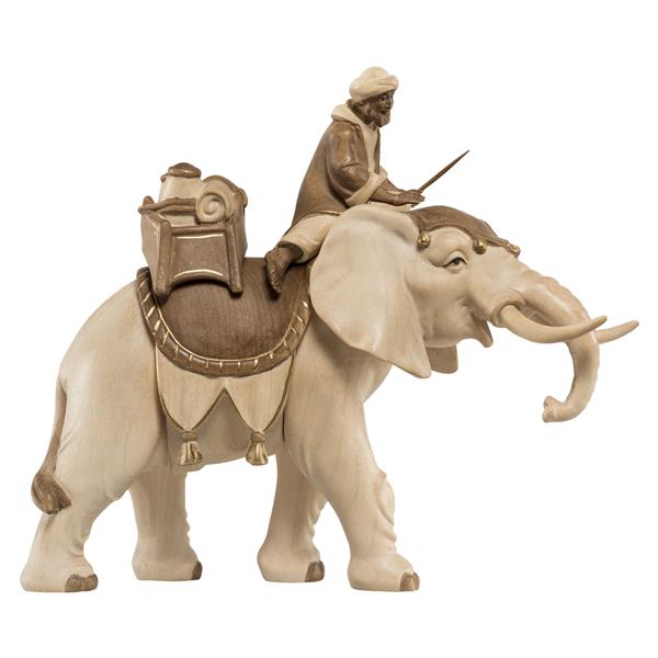 Elefant mit Reiter und Gepäck