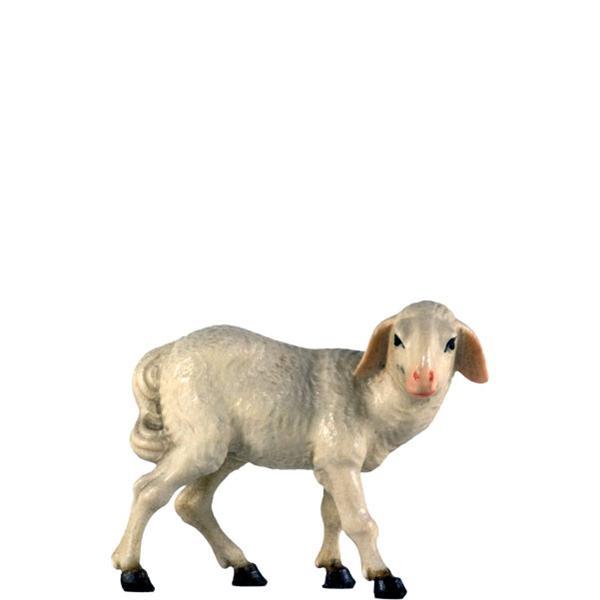 Schaf stehend rechts Schaf stehend rechts