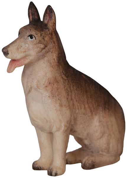 Schäferhund Schäferhund