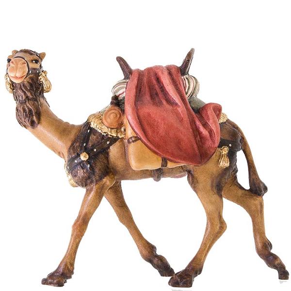 Kamel ohne Reiter