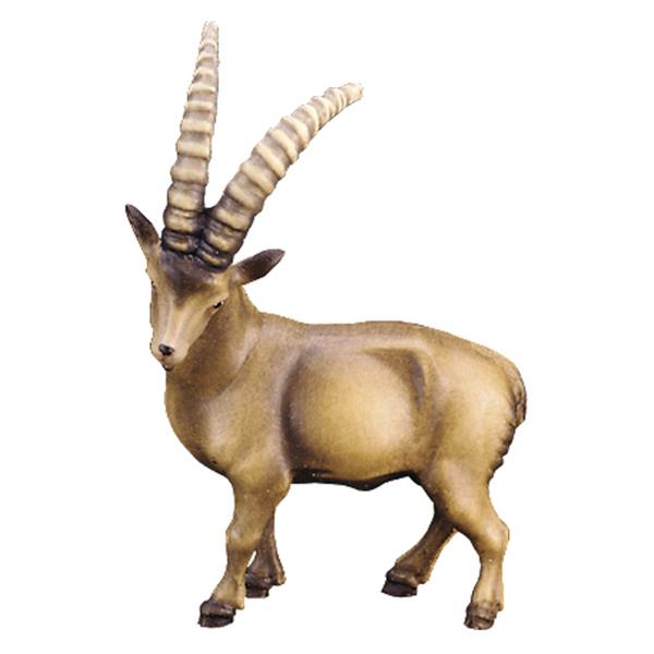 Steinbock Steinbock