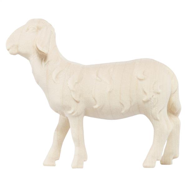 Schaf stehend Schaf stehend