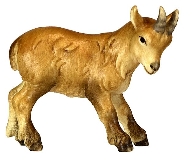 Steinbockkitz Steinbockkitz