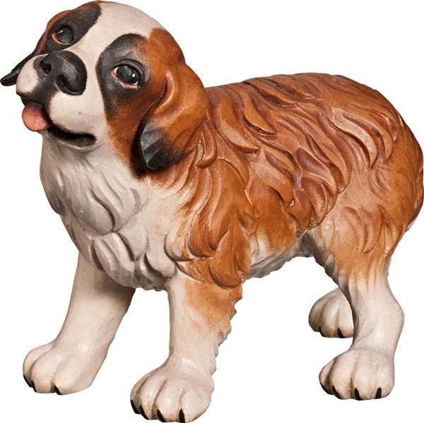 Bernhardiner Welpe Bernhardiner Welpe