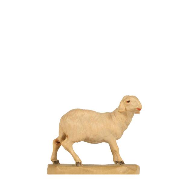 Schaf stehend