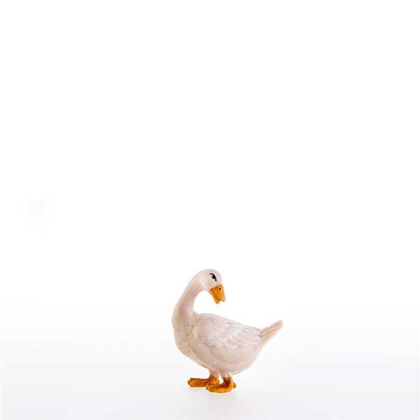 Gans nach hinten schauend