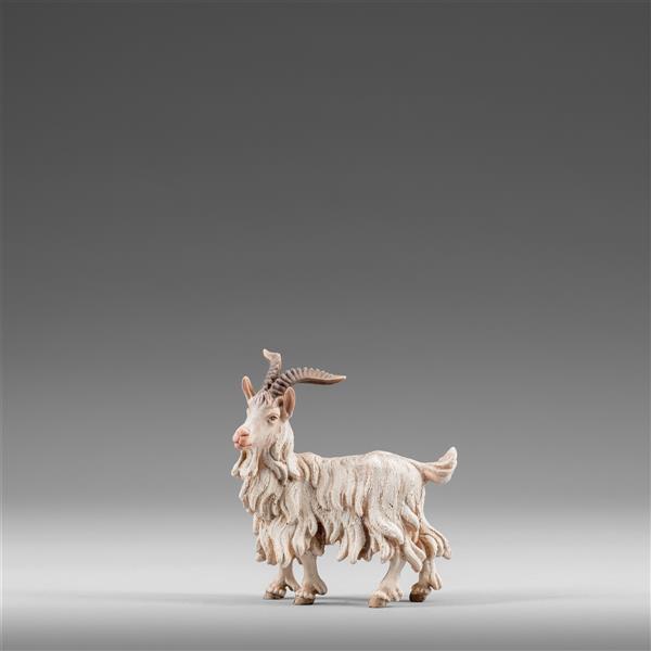 Ziegenbock Ziegenbock