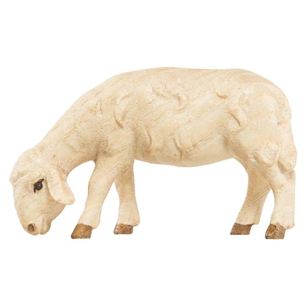 Schaf grasend (Esche) Schaf grasend (Esche)