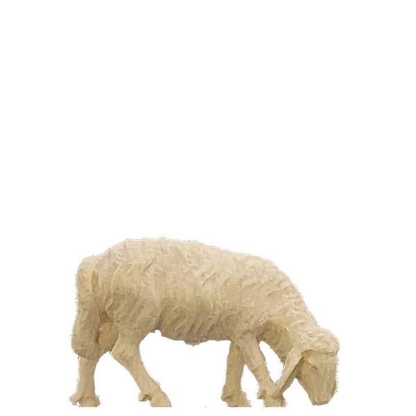 Schaf fressend links